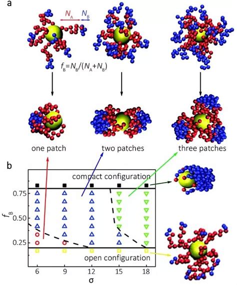 复旦大学聂志鸿教授和康涅狄格大学何杰教授chem Soc Rev ：聚合物引导的无机纳米粒子组装 表面