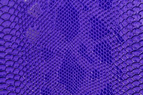 Purple Snake Skin Images – Browse 2,742 Stock Photos, Vectors, and ...