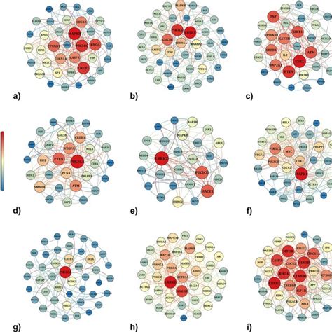 Protein Protein Interaction Networks Of The Enriched Hub Genes Of