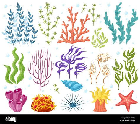 Cartoon ocean plants. Anemones, corals and seaweed, marine kelp, aquarium plants. Underwater ...