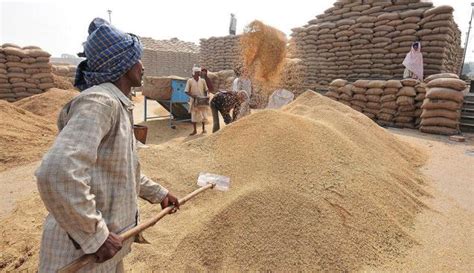 Joint Teams To Plug Holes In Paddy Procurement Orissapost