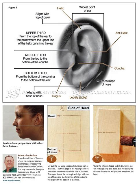 Carving Ear - Wood Carving Techniques • WoodArchivist