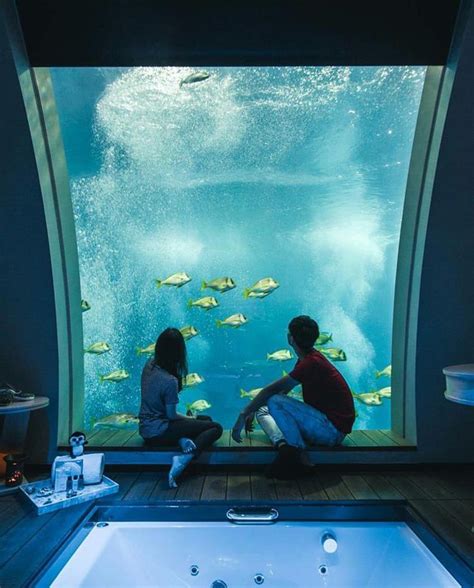 These Hotels With Underwater Views Are Amazing Underwater Hotel