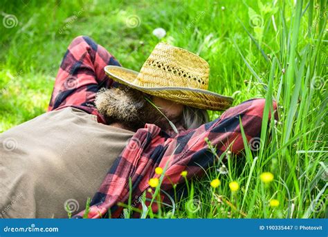 Farmer Straw Hat Portrait Stock Image CartoonDealer 55159501