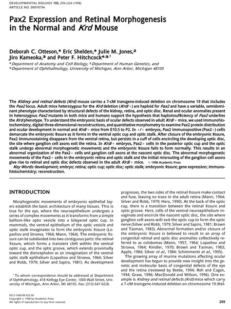 Pdf Pax Expression And Retinal Morphogenesis In The Normal Andkrdmouse