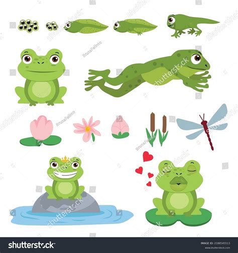 Cartoon Frogs Fluffy Green Frog Egg Stock Vector Royalty Free