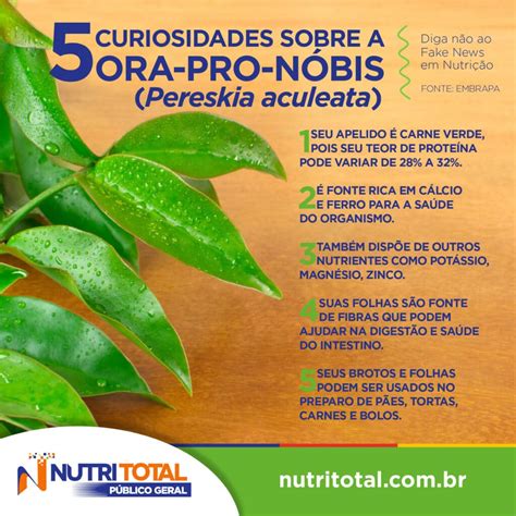 Para Que Serve A Ora Pro N Bis Veja Os Benef Cios Nutritotal Para Todos