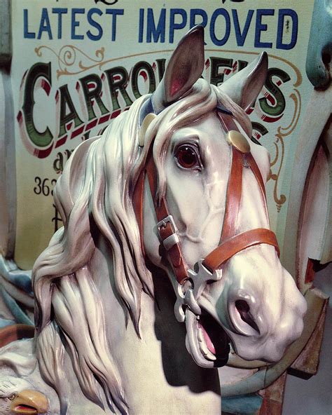 Dentzel Carousel Horse and Posterv - Etsy