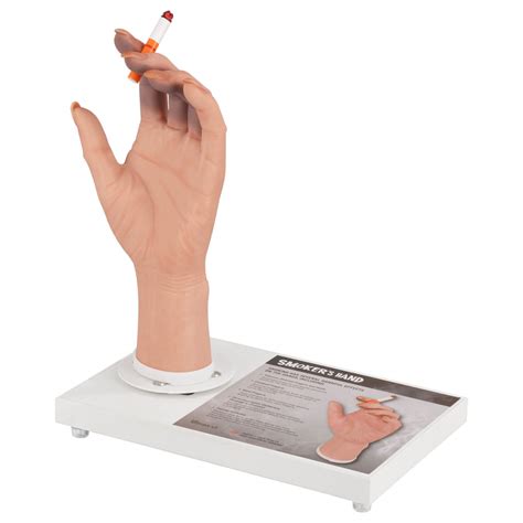 how to increase testicle size 3