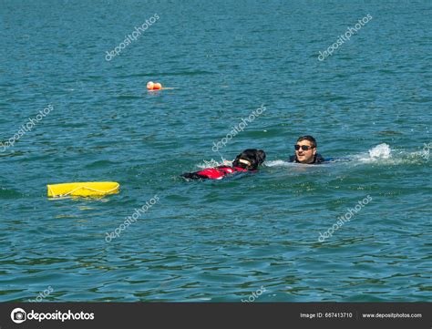 Sambotin Gorj Romania July 2023 Aquares 2023 Water Rescue Exercise ...