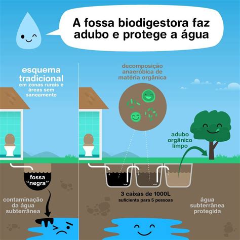 Água sua linda Como tratar o esgoto sanitário As fossas