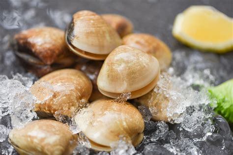 The Benefits Of Ordering Clams From Morehead City Waterfront