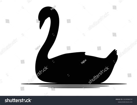 Cartoon Swan Swimming Pond Black Silhouette Stock Vector Royalty Free