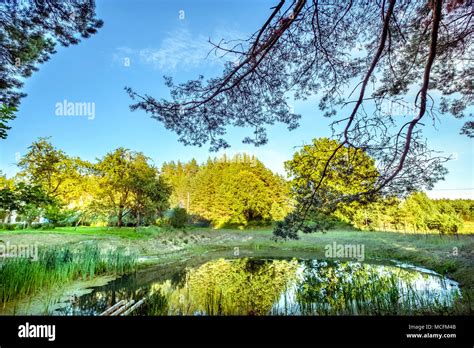 Beautiful green nature landscape in summer time Stock Photo - Alamy