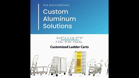 New Age Industrial Shorts Stress Free Customization Ladder Carts