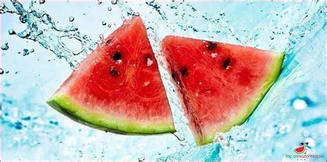 Discovering The Origins Of Watermelon A Fascinating Journey