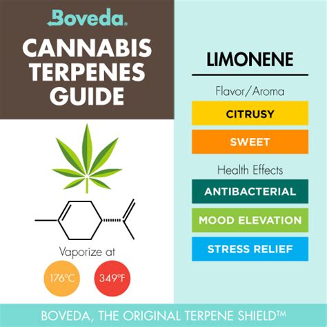 Terpene Spotlight Limonene Boveda® Official Site