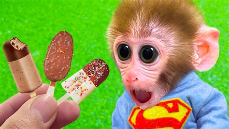 Baby Monkey Bi Bon Eats Chocolate Ice Cream And Buys Fruit At The