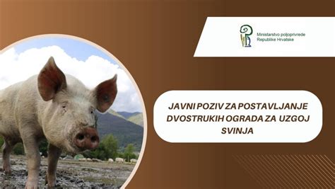 Javni Poziv Za Postavljanje Dvostrukih Ograda Kutjeva Ki Hr