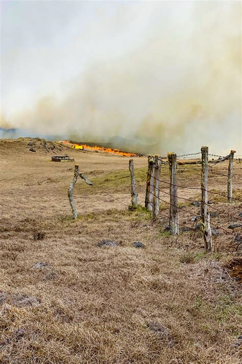 How Indigenous Hawaiians are Coping with the Recent Wild Fires