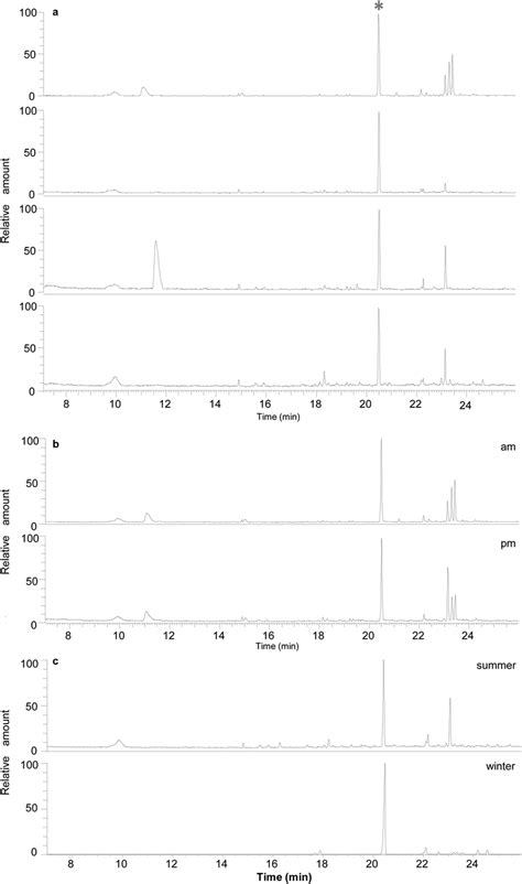 Representative Gas Chromatographic Mass Spectrometry Separation Of Download Scientific Diagram