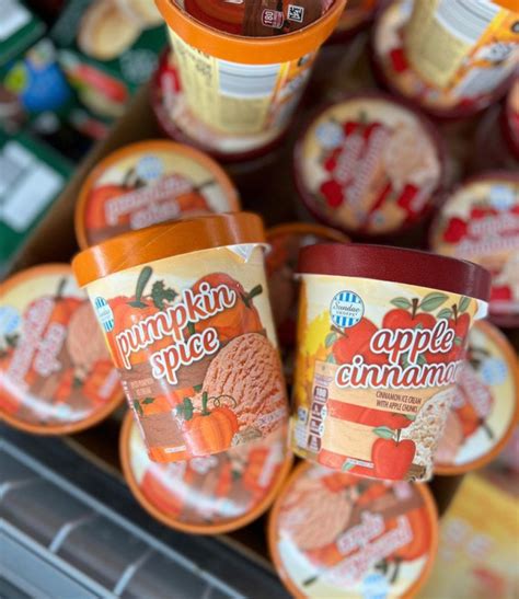 Aldi Is Selling Limited Edition Fall Ice Cream In Pumpkin Spice And