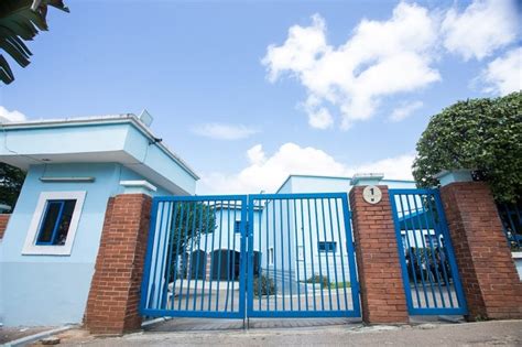 Gallery – The Regent Primary School