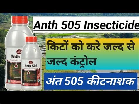 Anth 505 Chloropyriphose 50 Cypermethrin 5 EC Insecticide Use In