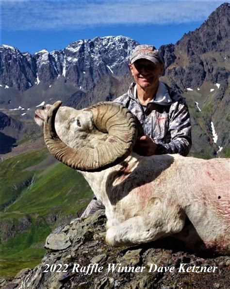 Dall Sheep Hunt Raffle Sci Alaska