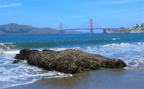 12 Gorgeous San Francisco Beaches