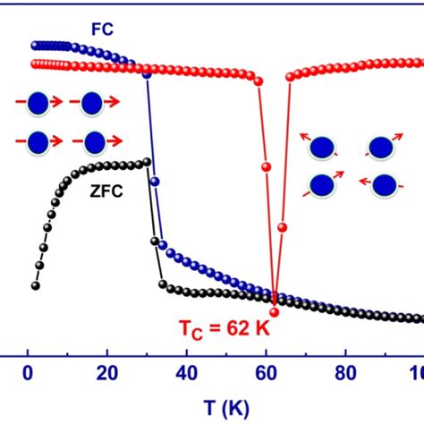 Thermal Variation Of Zero Field Cooling Zfc And Field Cooling Fc