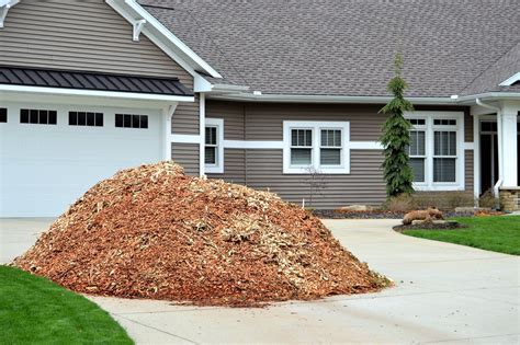 What Is Mulching And How Does It Benefit Your Trees