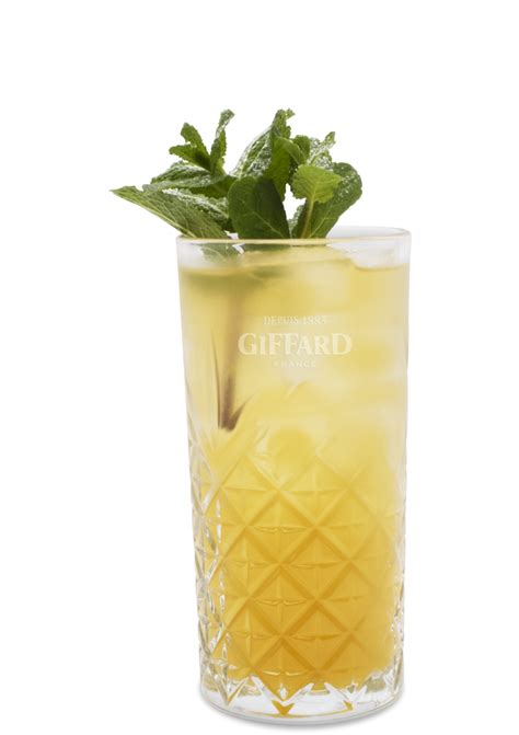 Cocktail Raspberry Iced Green Tea