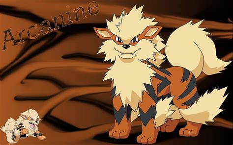 Pokemon Arcanine Growlithe Hd Wallpaper Pxfuel