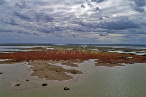 Tidal Textures and Red Beaches in Tiaoslii Wetland Scenic Area ...