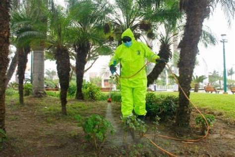 Dengue fumigan parques de Nuevo Chimbote para evitar proliferación de