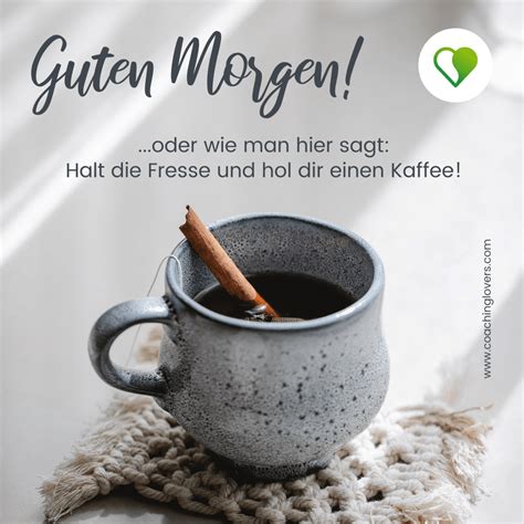 75 erlesene Guten Morgen Zitate und Sprüche CoachingLovers