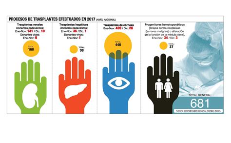 Los Trasplantes De Organos Crecen