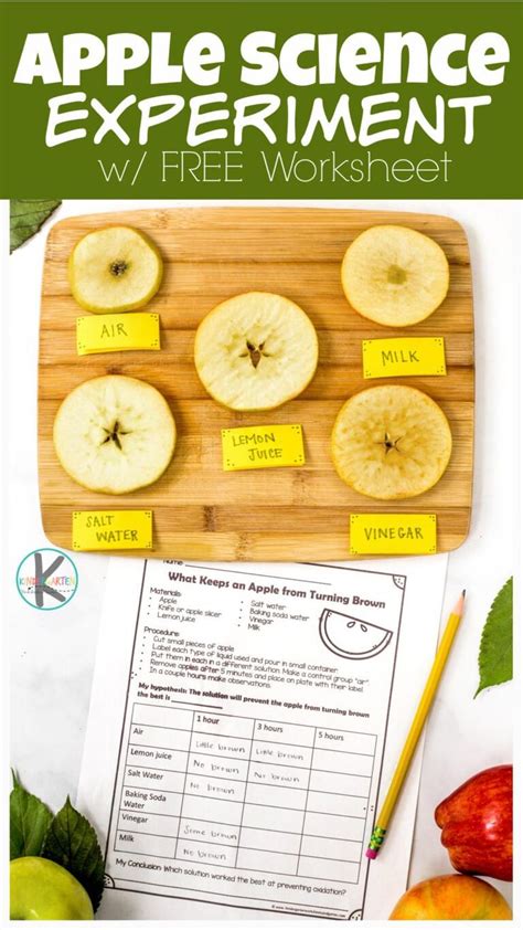 Simple Apple Oxidation Experiment To Learn Why Apples Turn Brown And