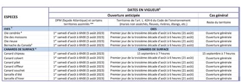 Ouverture De La Chasse 2023 Gibiers Deau Canards Et Oies