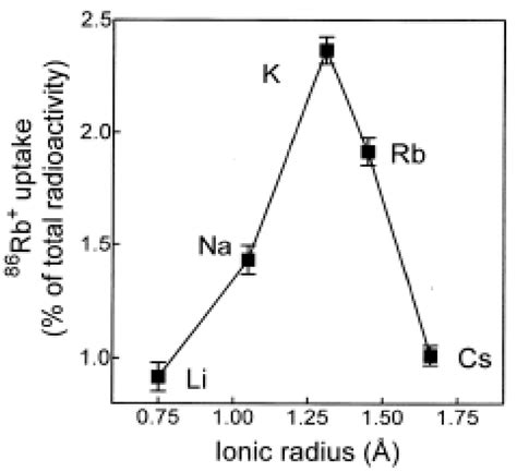 Specificity of 86 Rb + uptake into chromaffin granules. Chromaffin ...