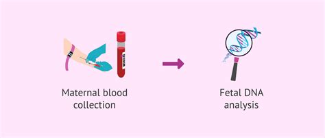 What Is The Non Invasive Prenatal Test Like