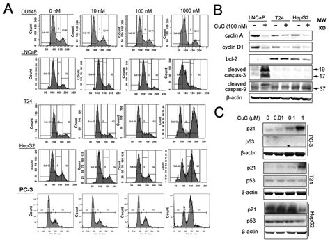 Frontiers In Vitro And In Vivo Antitumor Activity Of Cucurbitacin C