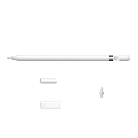 新品未開封 Apple Pencil 第1世代 Usb C Apple Pencilアダプタ付属 Apple純正 アップルペンシル Ipad Pro対応 Mqly3ja