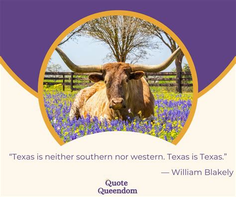 Texas Quotes and Captions That Celebrate the Lone Star State