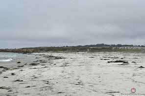 Leana Lovings Lea049atk 397996041 Porn Pic