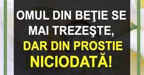 VORBE SI PROVERBE DIN TOATA LUMEA Omul Din Betie Se Mai Trezeste Dar