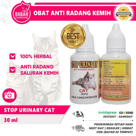 Stop Urine CAT Medicine CAT Medicine Inflammation Of URINARY Tract ...