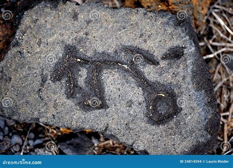 Hawaiian Petroglyphs Stock Images - Image: 24814594