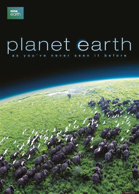 'Planet Earth' Now Available To Stream On Netflix | HuffPost